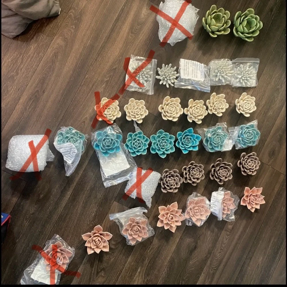 Nordstrom Ceramic Succulents - Picture 9 of 9